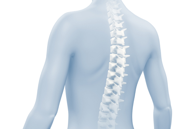 A Guide to Spinal Cord Injury; What You Need to Know