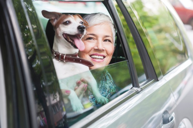 woman traveling by car with a dog - Oatley Vigmond