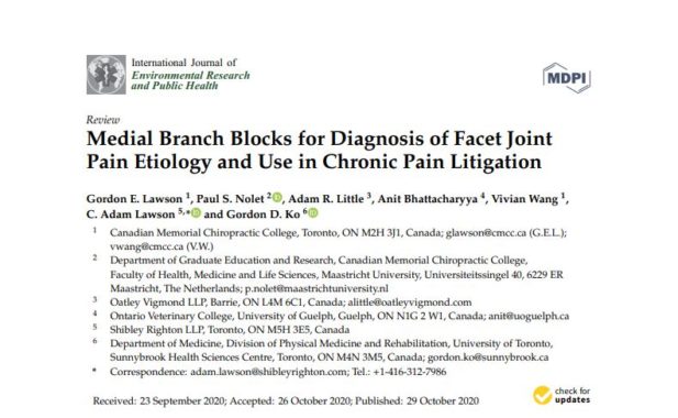 Medial Branch Blocks for Diagnosis of Facet Joint Pain Etiology and Use in Chronic Pain Litigation